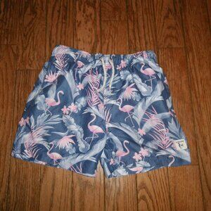 Boy’s Flamingo Tropical Print Swimming Trunks